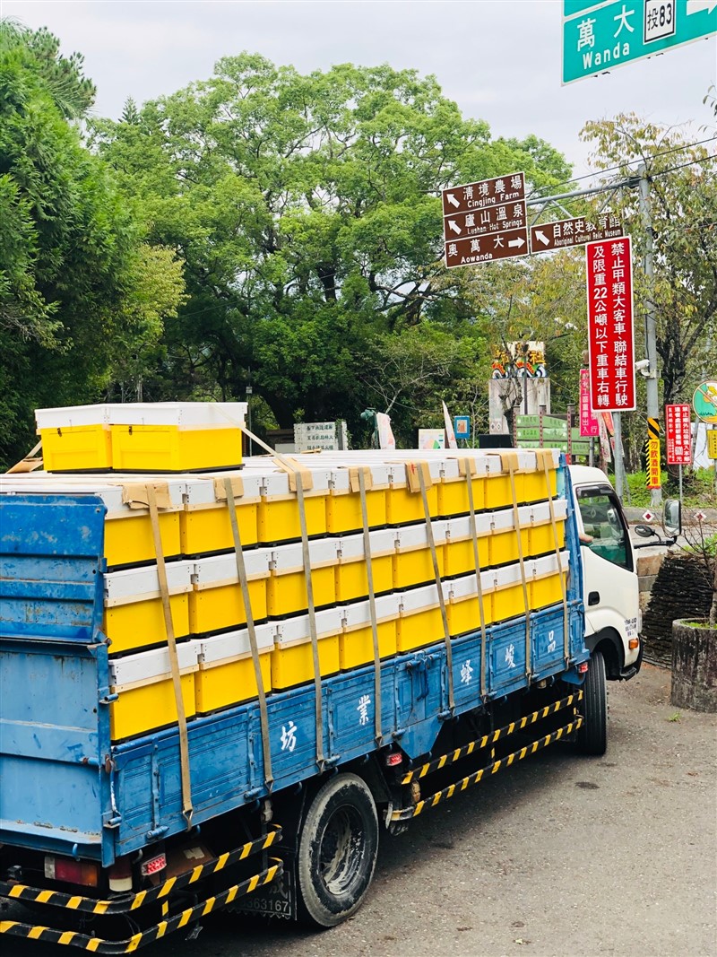 【品峻】台灣高山櫸木花粉