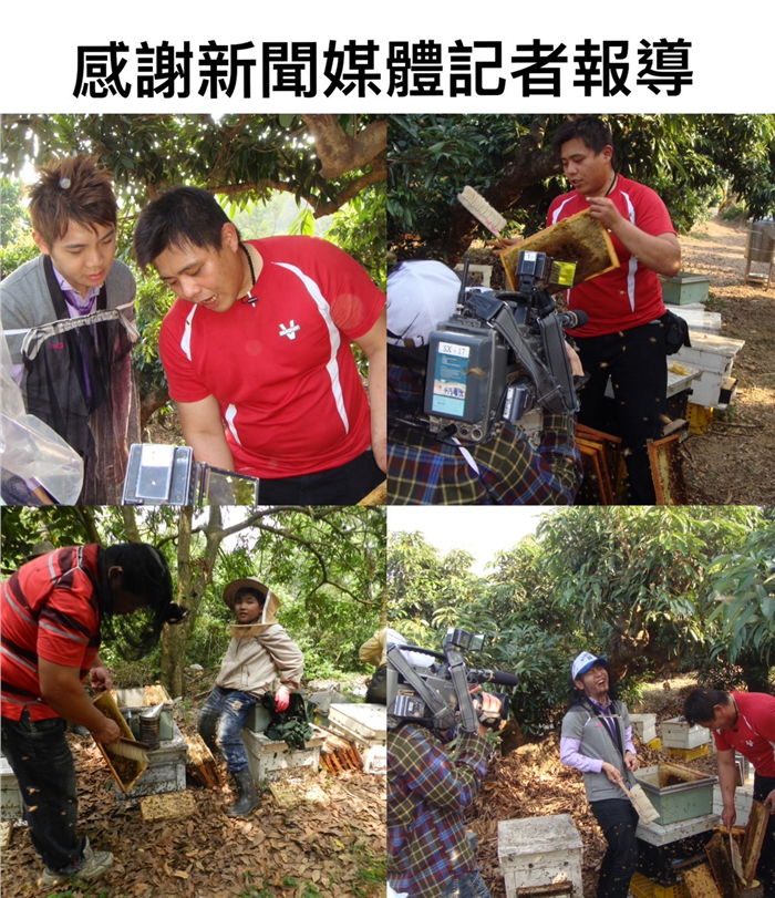 山桕樹蜂蜜   500公克